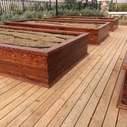 Tasarım Sebze Bahçeleri - Pelikan Hill  | Ayancık Ahşap | Bio Pellet - Lambri - Yalı Baskı