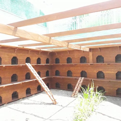 Kedi Evi Proje | Ayancık Ahşap | Bio Pellet - Lambri - Yalı Baskı